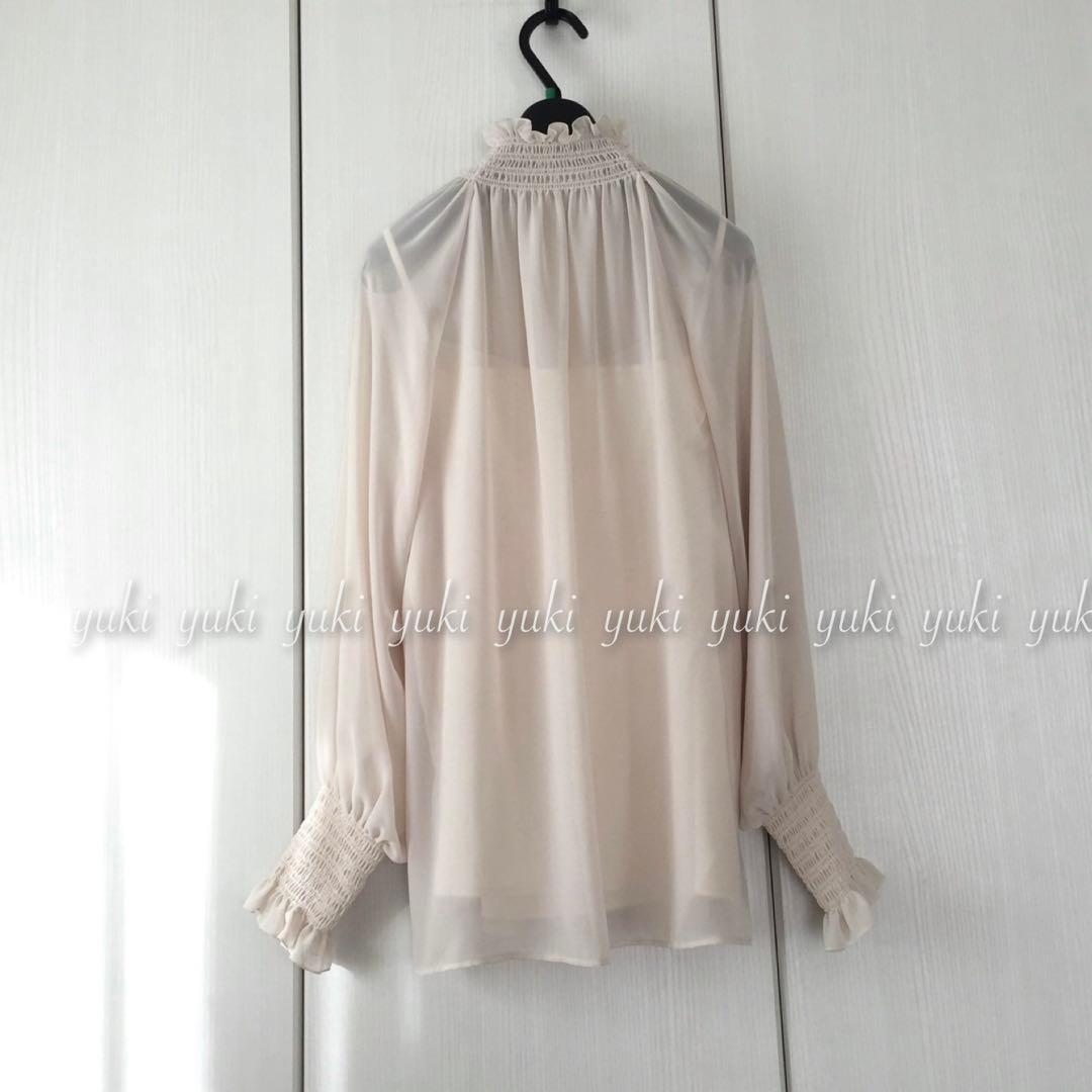 ANAYI シアージョーゼット シャーリングブラウス