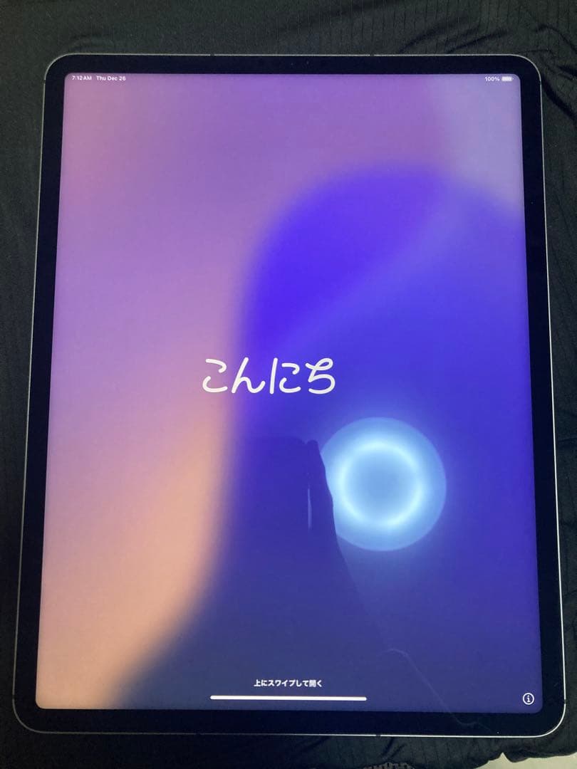 iPad Pro 12.9 (第5世代) M1 256GB SIMフリーモデル