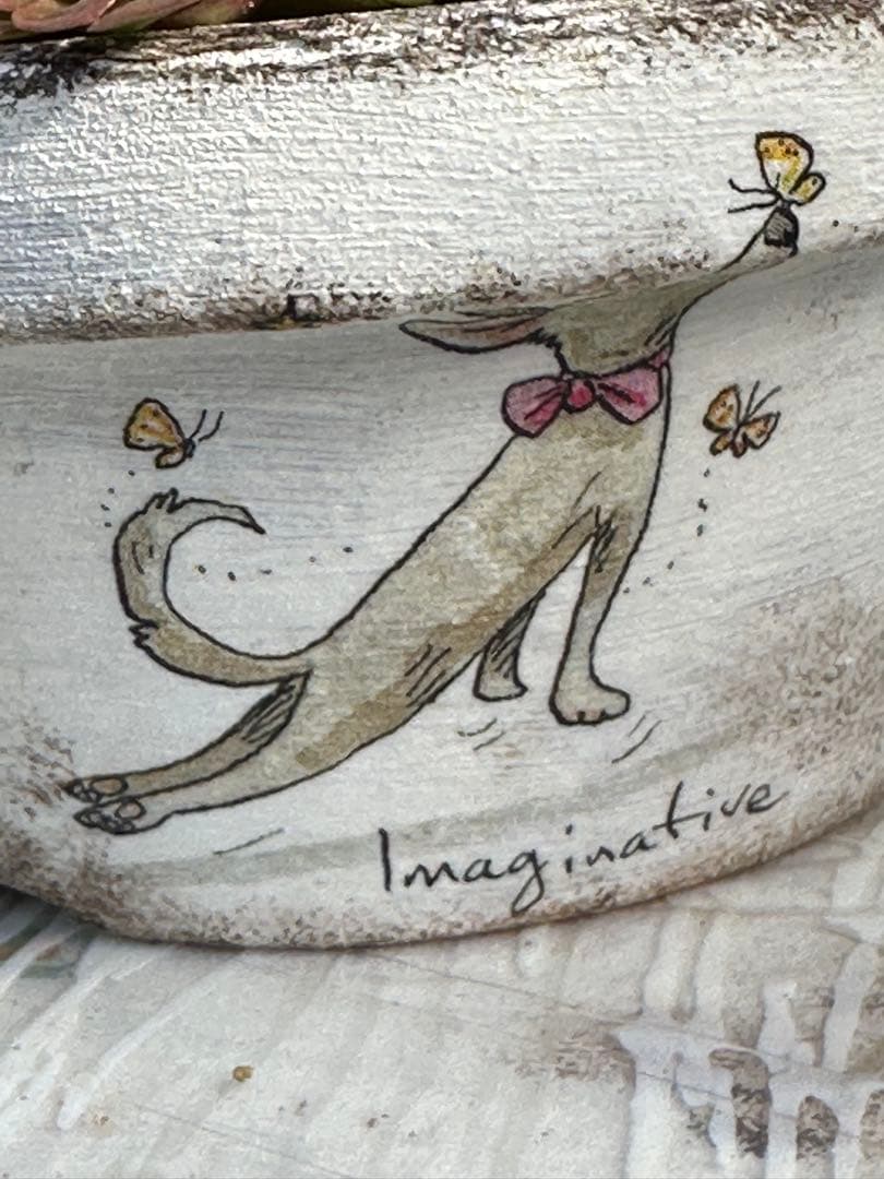 多肉植物 ☆リメ鉢寄せ植え