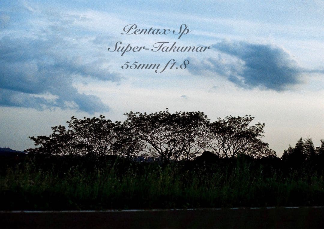 ★完動品＊初期保証付！pentax sp★作例多数★フィルム入門に！