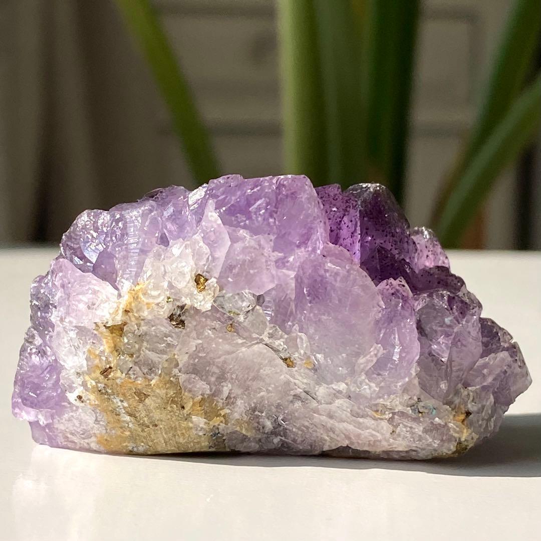 ヤシの実様　お受け取りまでのご確認用ページ