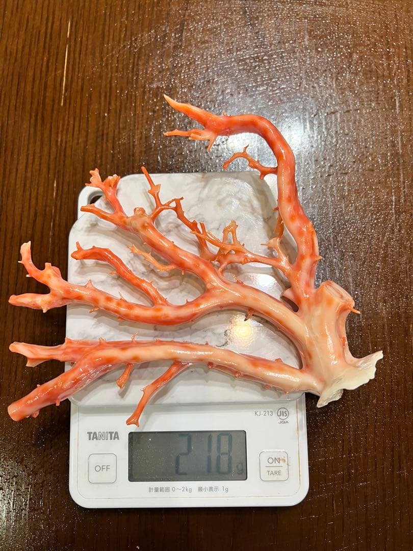 ピンク珊瑚　高知県産　2つ