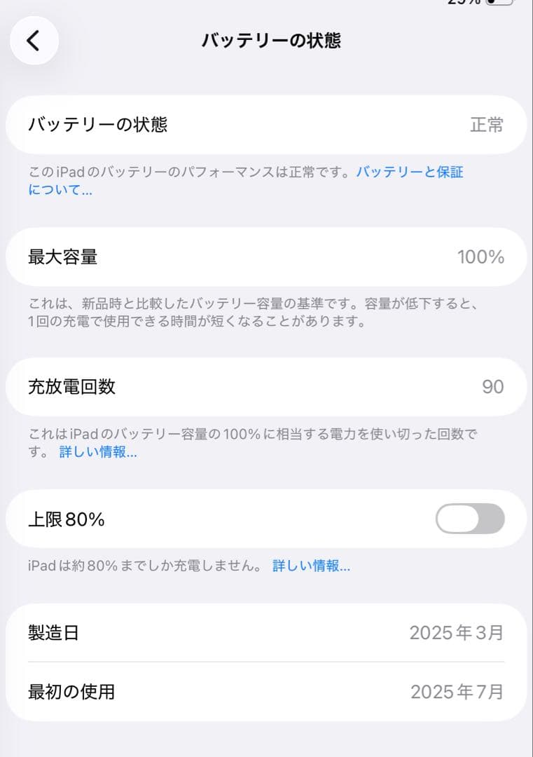 M4 iPad Pro 256GB セルラーモデル