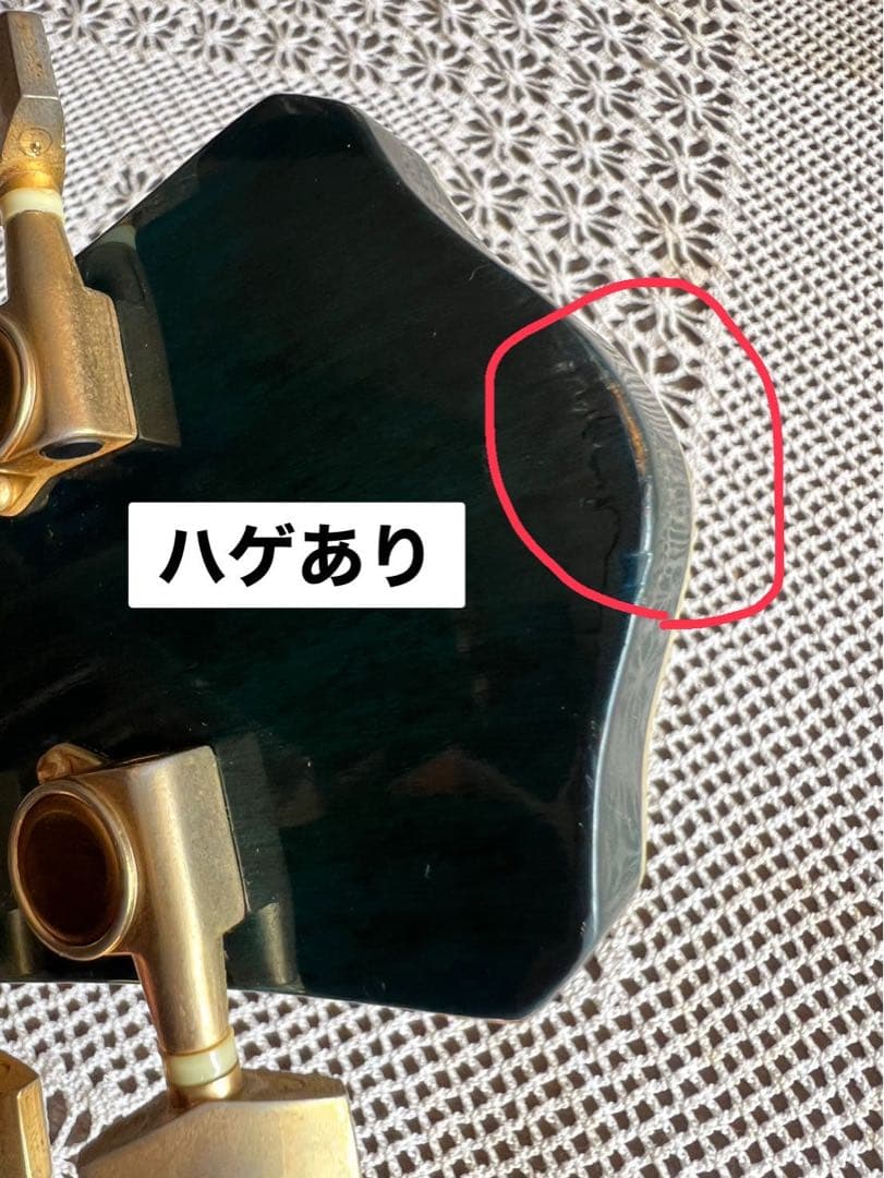 ᕱ⑅ᕱ♥ ＊Sepia Crue エレアコ EAW-300 セピアクルー