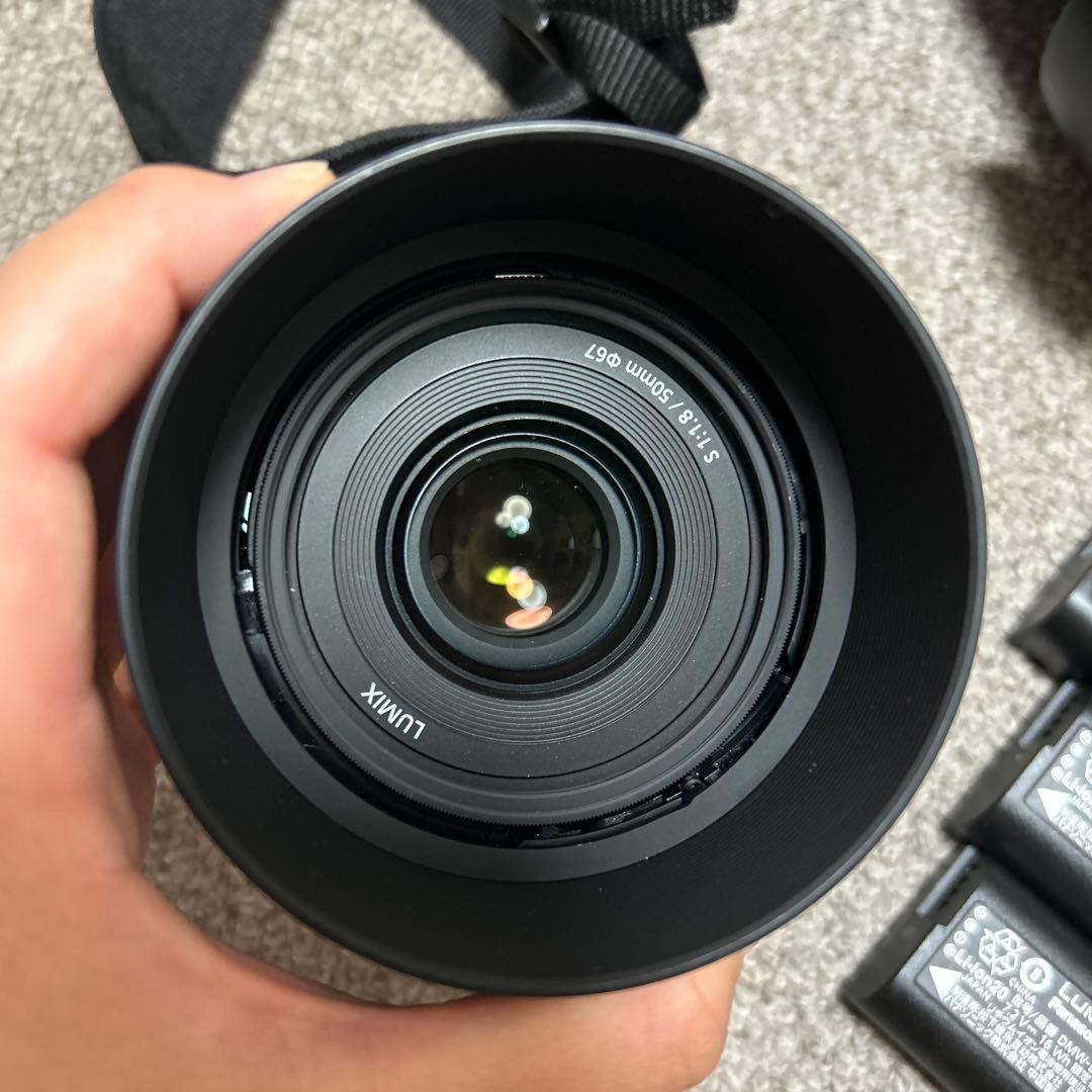 LUMIX S5ii+単焦点50mm+SIGMA24-70mm DGDN