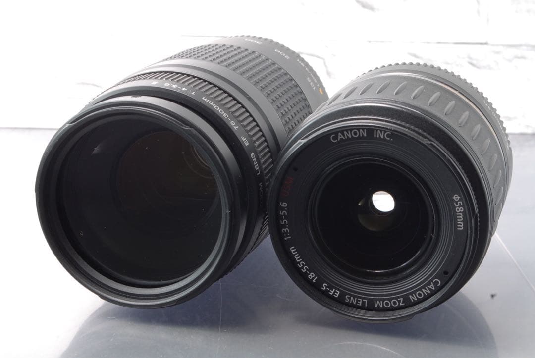 美品 Canon EOS 80D ダブルレンズキット Wi-Fi搭載　スマホ転送