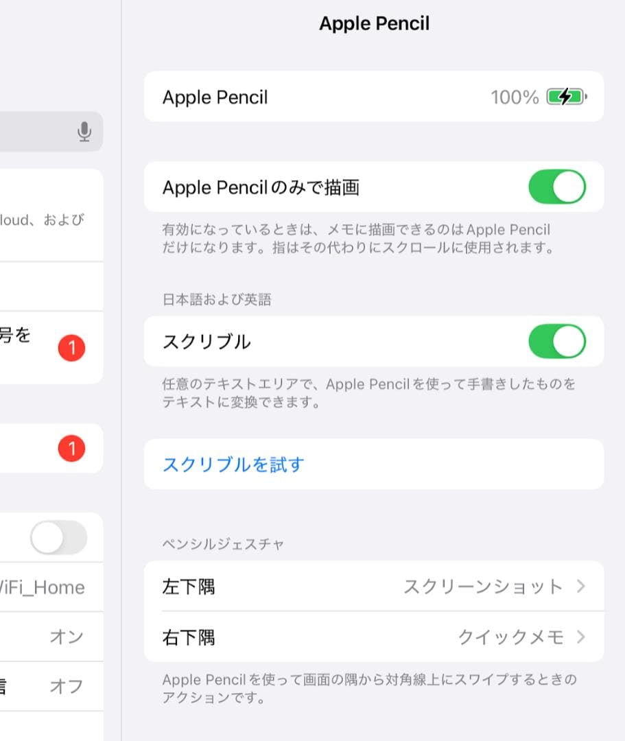 【動作確認済】Apple Pencil アップルペンシル 第1世代 保証未登録