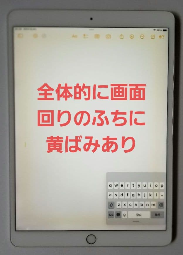 iPad Pro10.5 256gb　Wi-Fiモデル　シルバー
