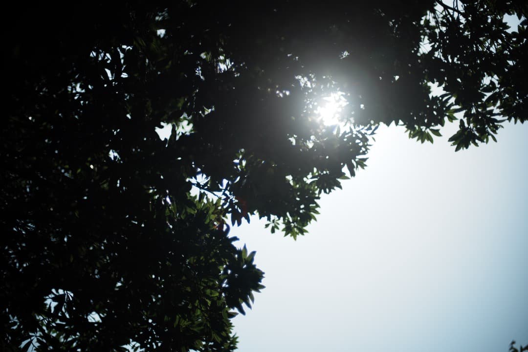 【極美品】ニコン Ai-s Nikkor 50mm F1.4 大口径 803