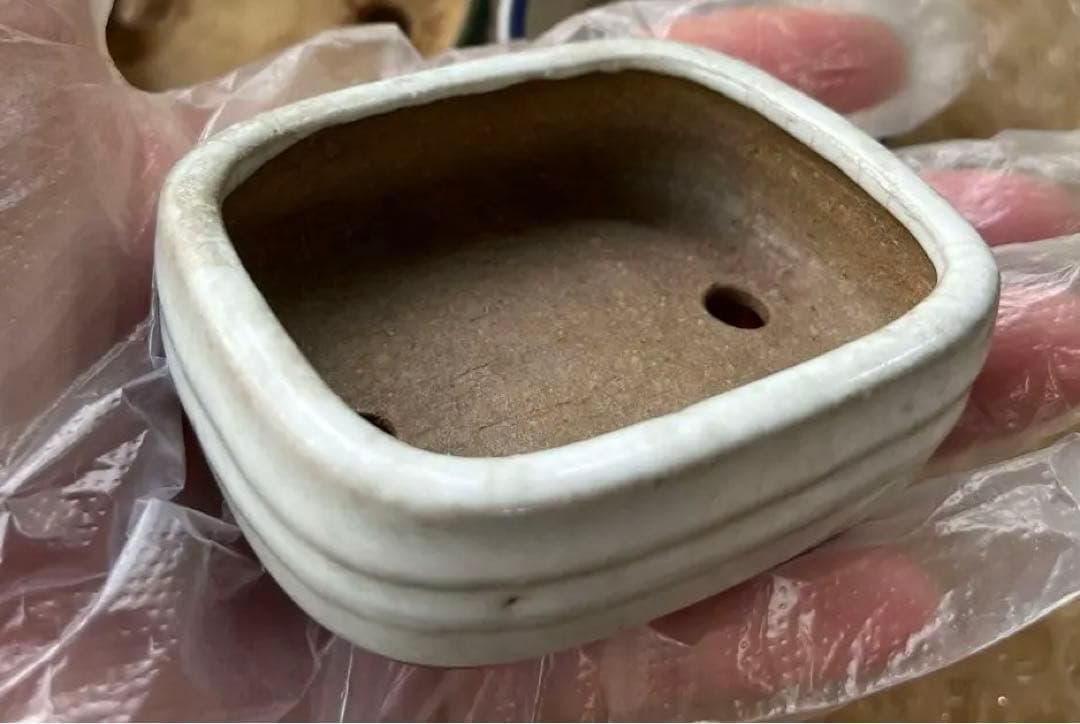 高雄香葉　盆栽鉢　小品　3個セット　レトロ　(A6)