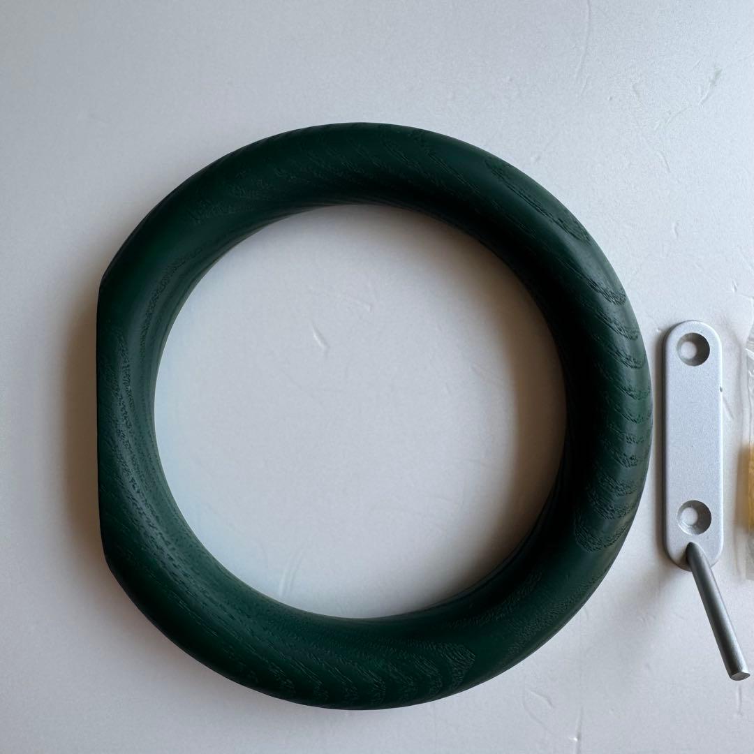 HAY gymhook ジムフック　ダークグリーン dark green L