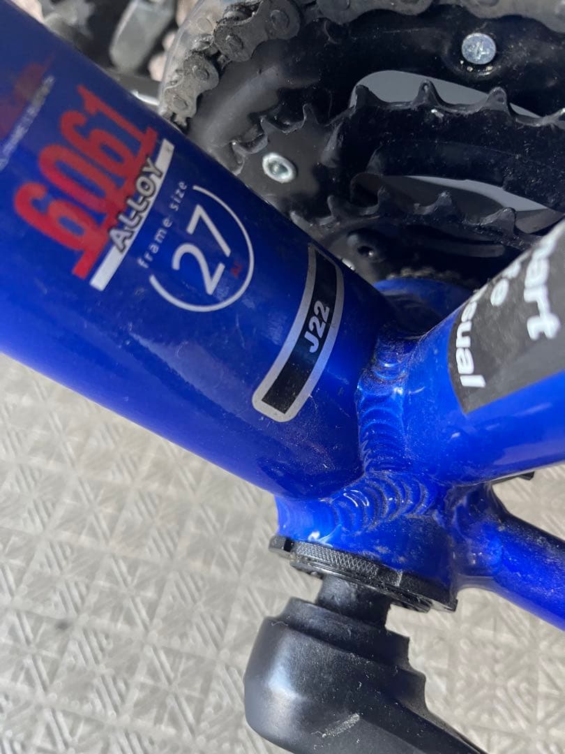 ルイガノ　ジュニア自転車 22インチ