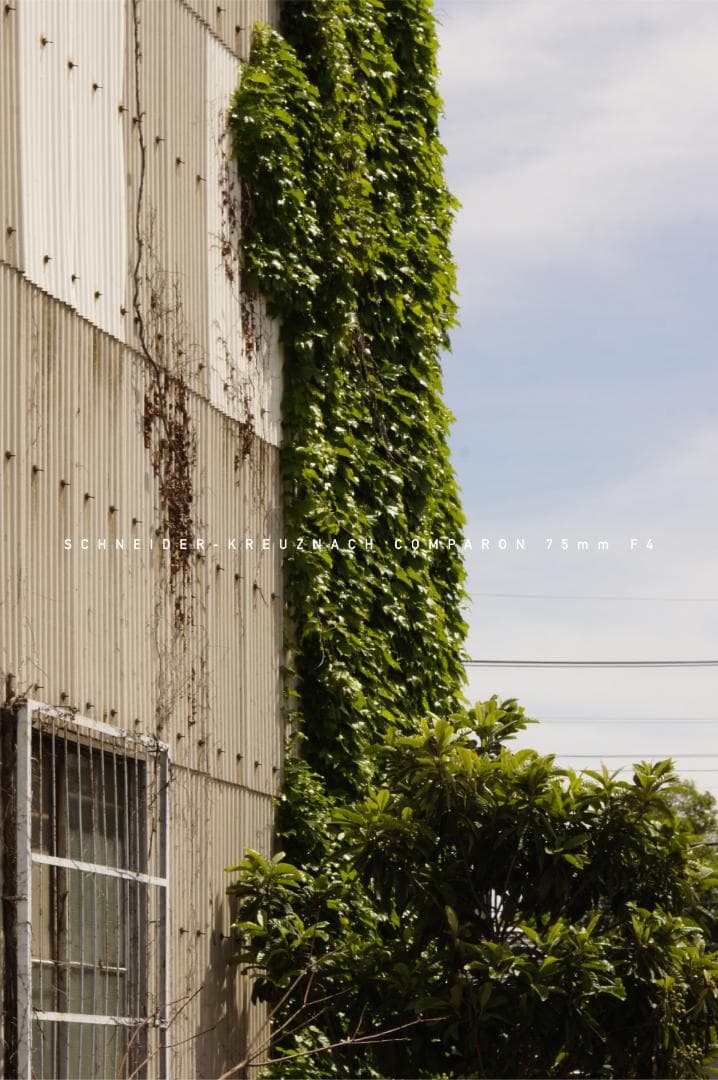 Schneider Kreuznach 75mm F4 Lマウント シュナイダー