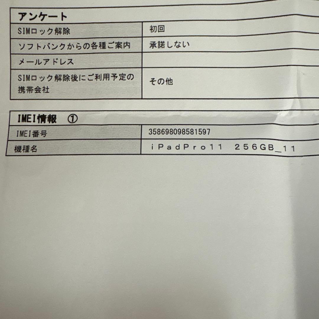 2018年モデル iPadPro11インチ 第1世代 256GB セル