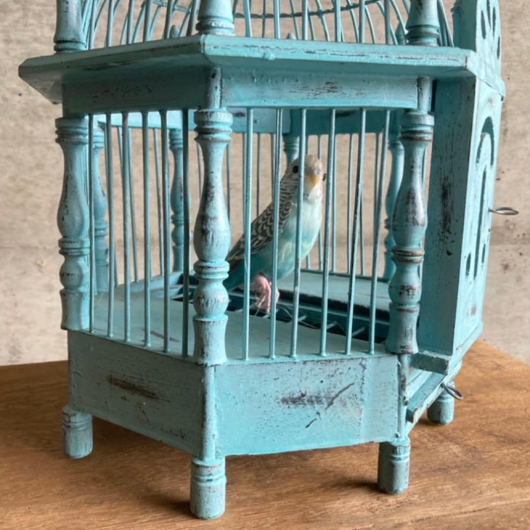 鳥籠 バードゲージ カゴ 小鳥 置物 吊り下げ 水色 青 シャビー レトロ