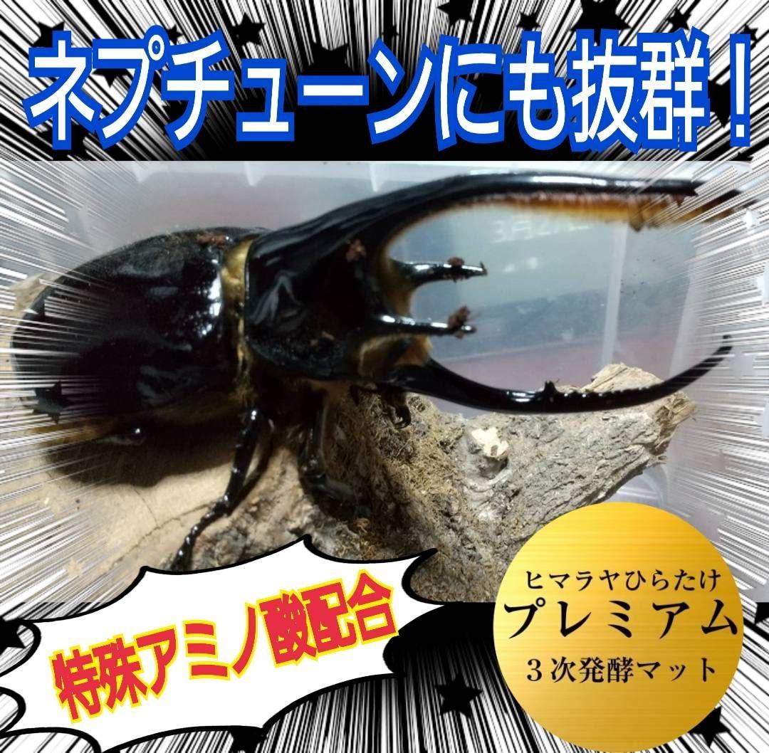 ヘラクレス幼虫が大きくなる！プレミアム3次発酵マット【60リットル】産卵にも抜群