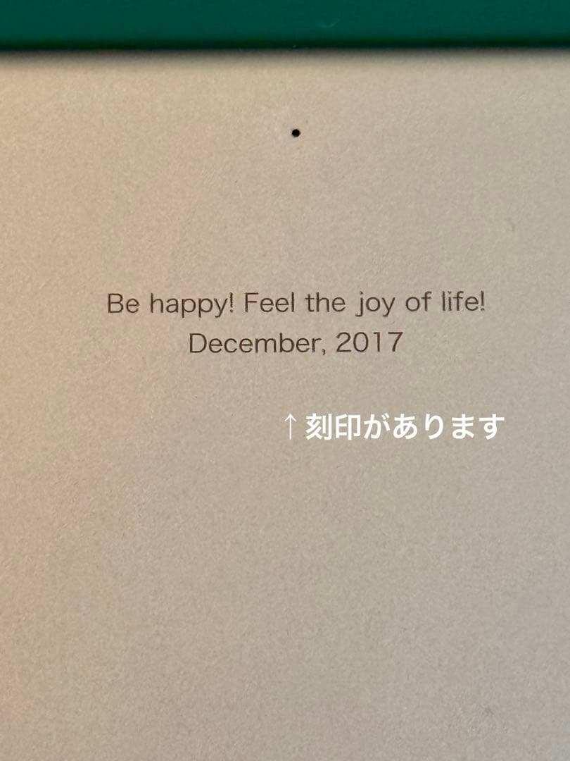 Apple iPad pro 2017(10.5インチ)