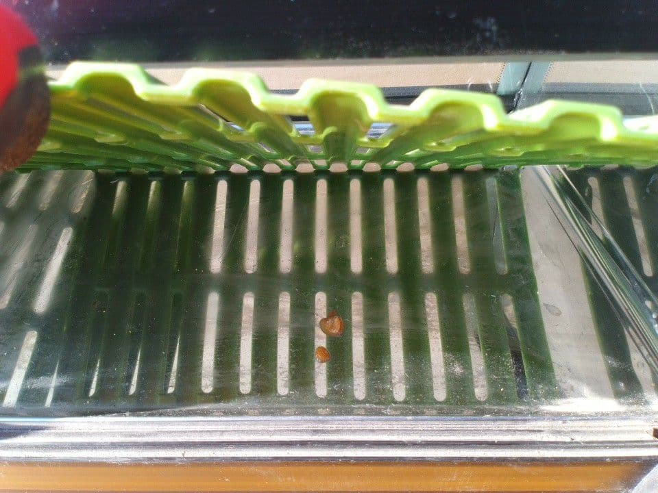 ホシザキ 恒温高湿ネタケース CKN‐120B 寿司ネタケース 動作OK 業務用