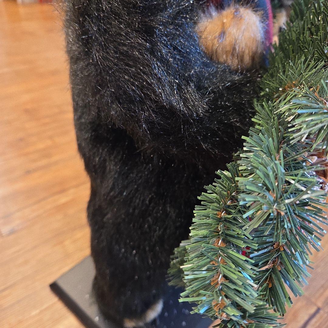 HARMONIER クマのクリスマスベアーランブ