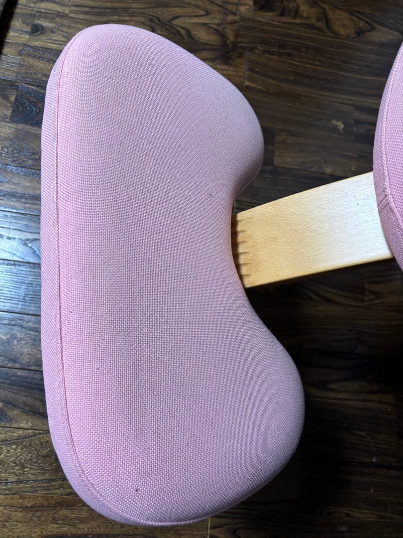 Rybo Balans EASY バランスイージー バランスチェア　カバー付き