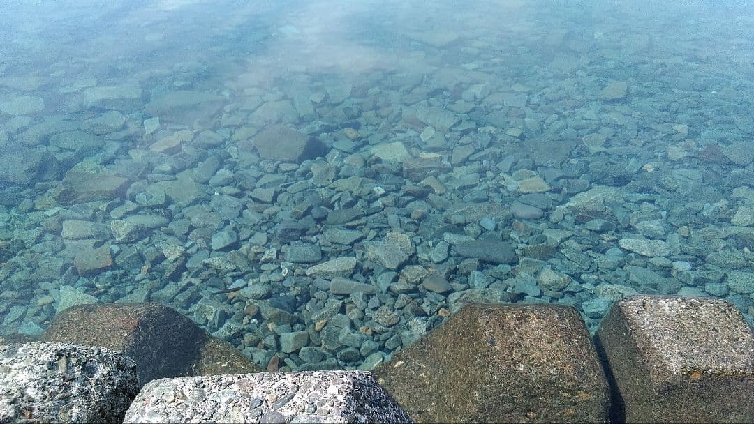 化石　標本　ノジュール原石　アンモナイト　国産　球状コンクリーション