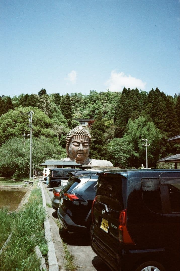 動作確認済&説明書付属 Nikon AF600 コンパクトフィルムカメラ 作例有