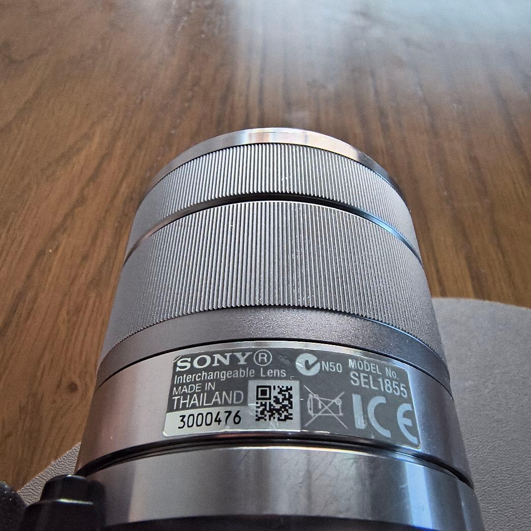 ピンクの猫 SONY NEX-5N ズームレンズ+外付けフラッシュ