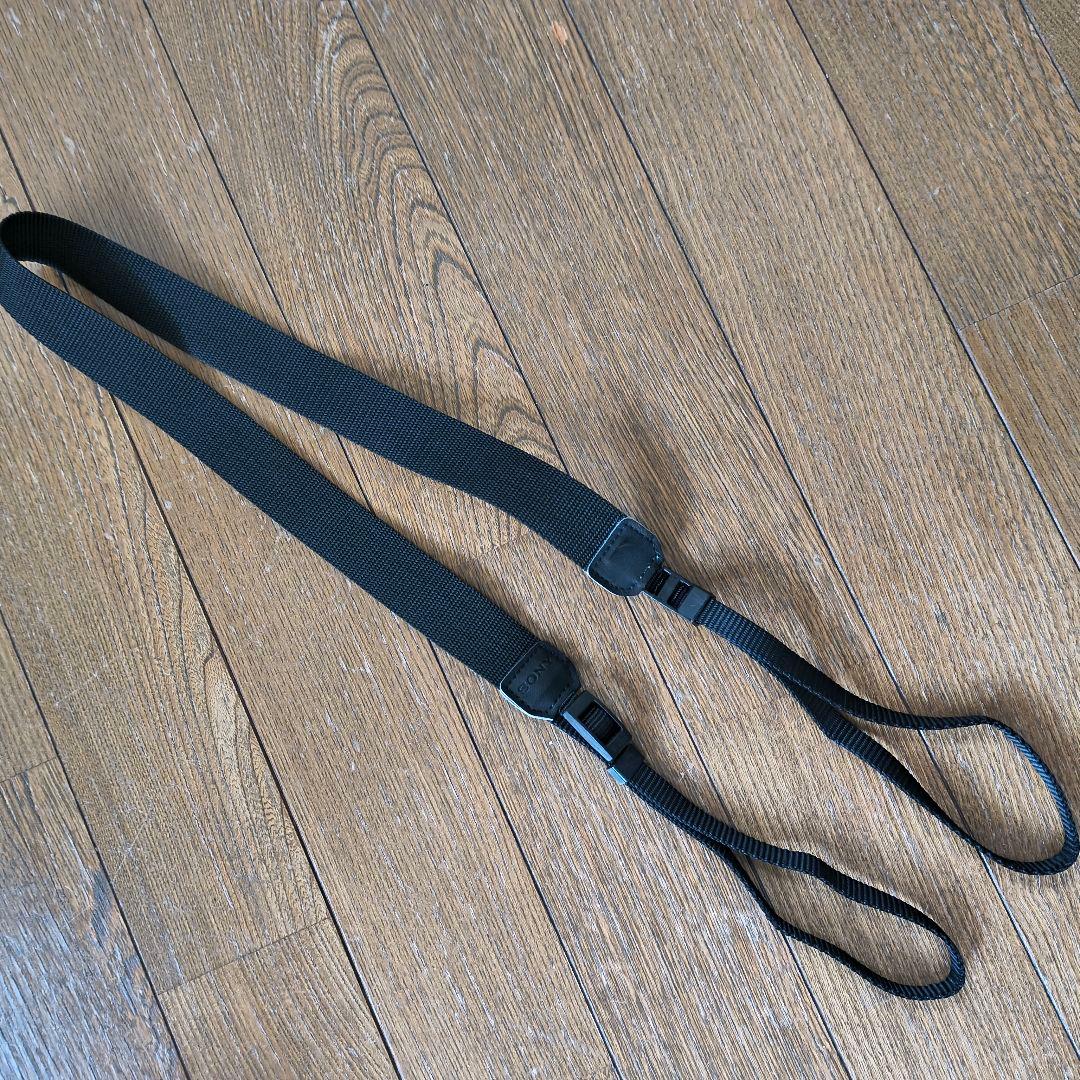 ピンクの猫 SONY NEX-5N ズームレンズ+外付けフラッシュ