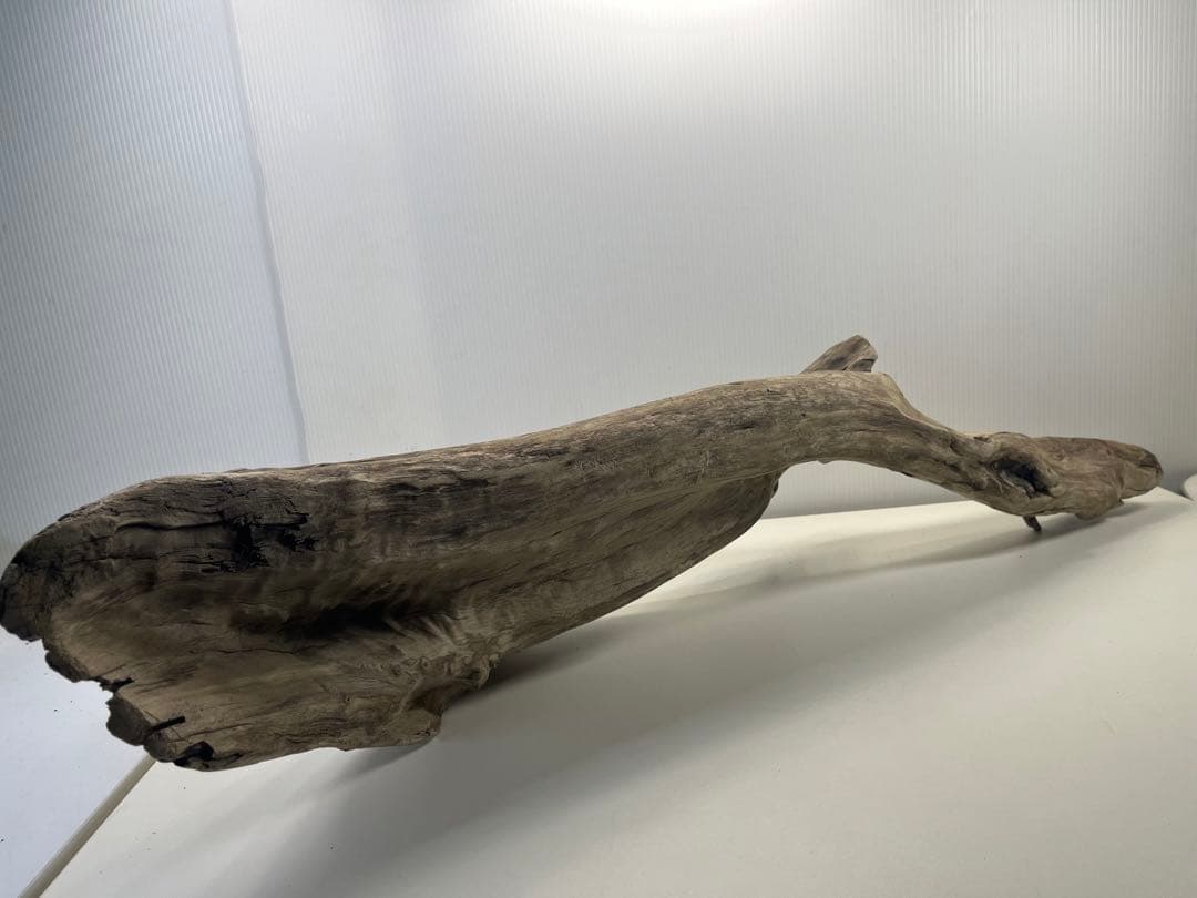 V84特大流木 アク抜き済み流木 爬虫類シェルター 登り木 インテリア 生け花