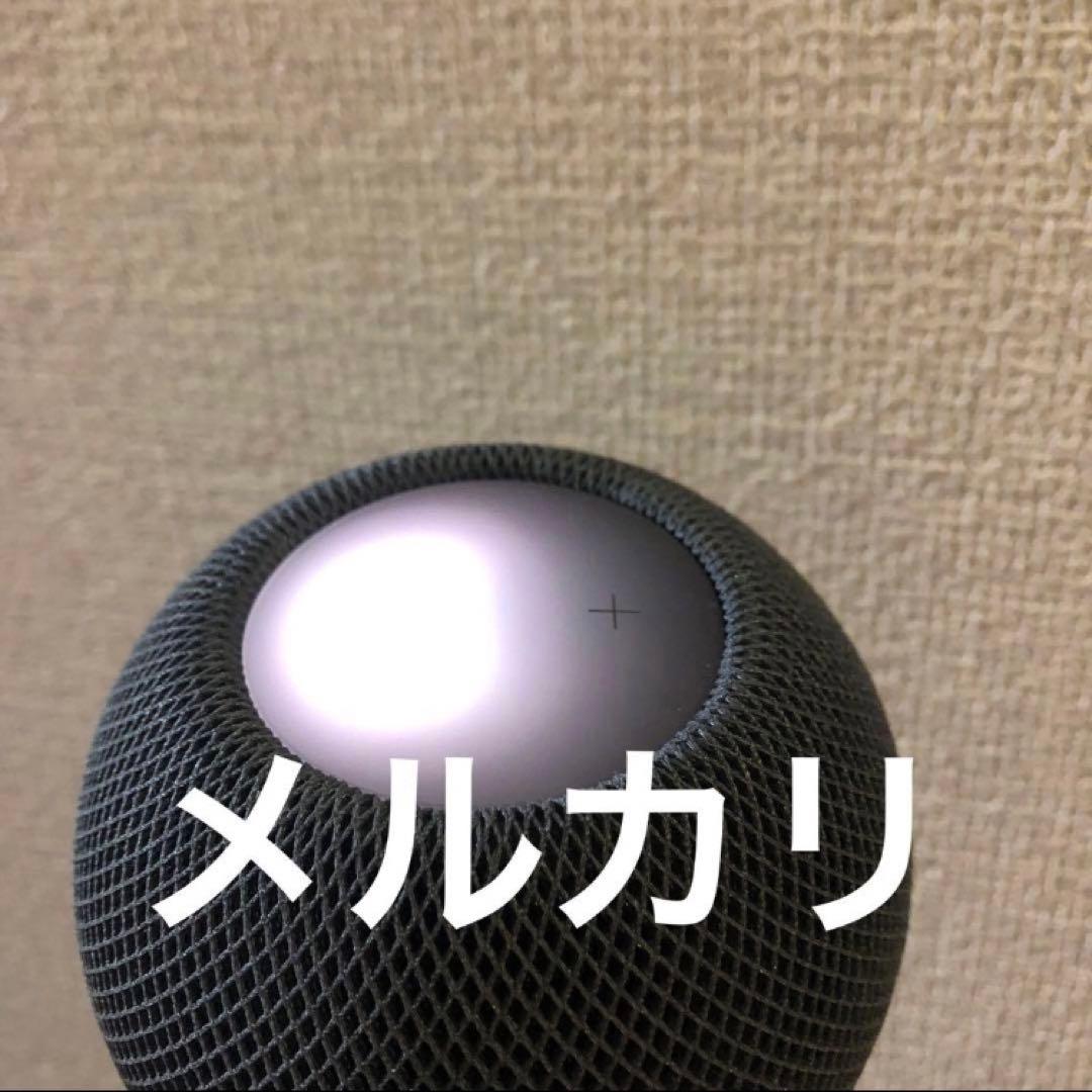 【美品】 Pod mini 2台セット 完動品