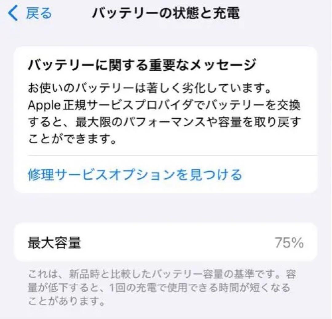 Apple iPhone 12ミントグリーン 本体