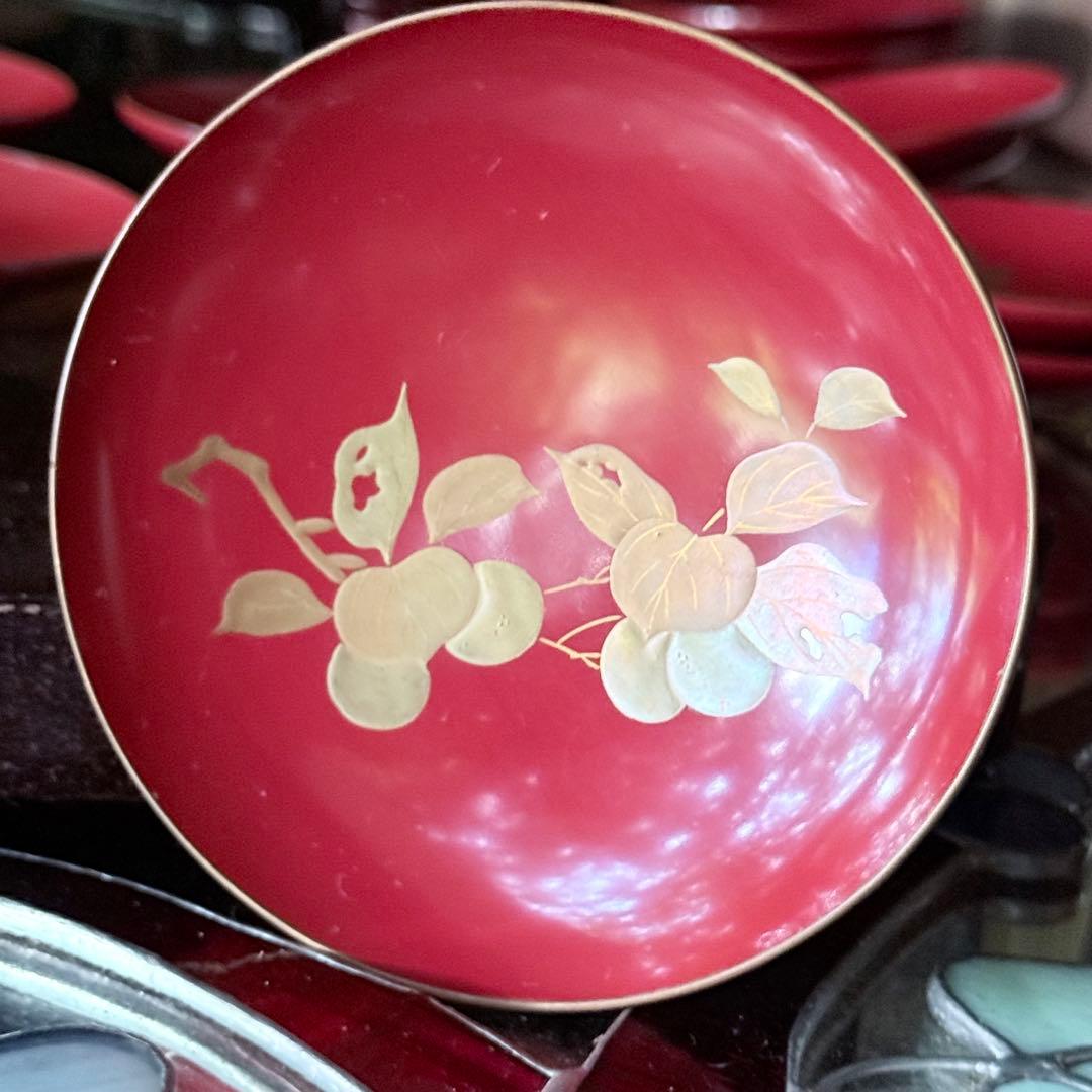 J様へ感謝お嫁入 ‼️高蒔絵『木の実』絵がわり引盃18客➕1プレゼント桐箱入茶道具