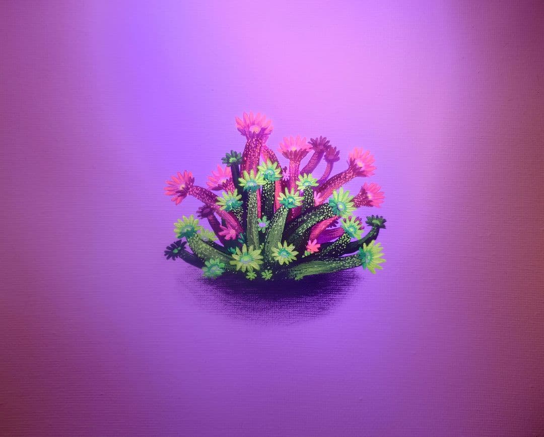 リクエスト絵画4点セット