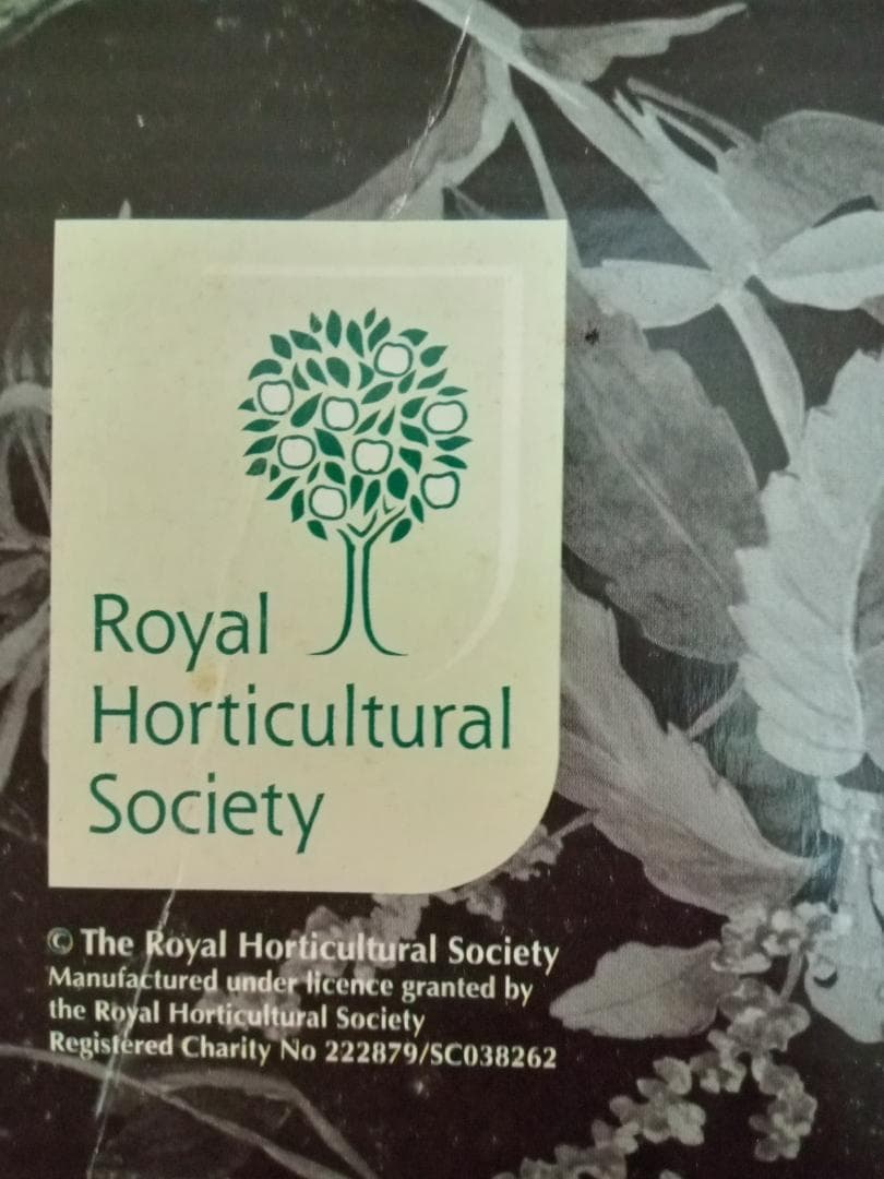 グリーンスムージー　ハンター花柄レインブーツ　ガーデン