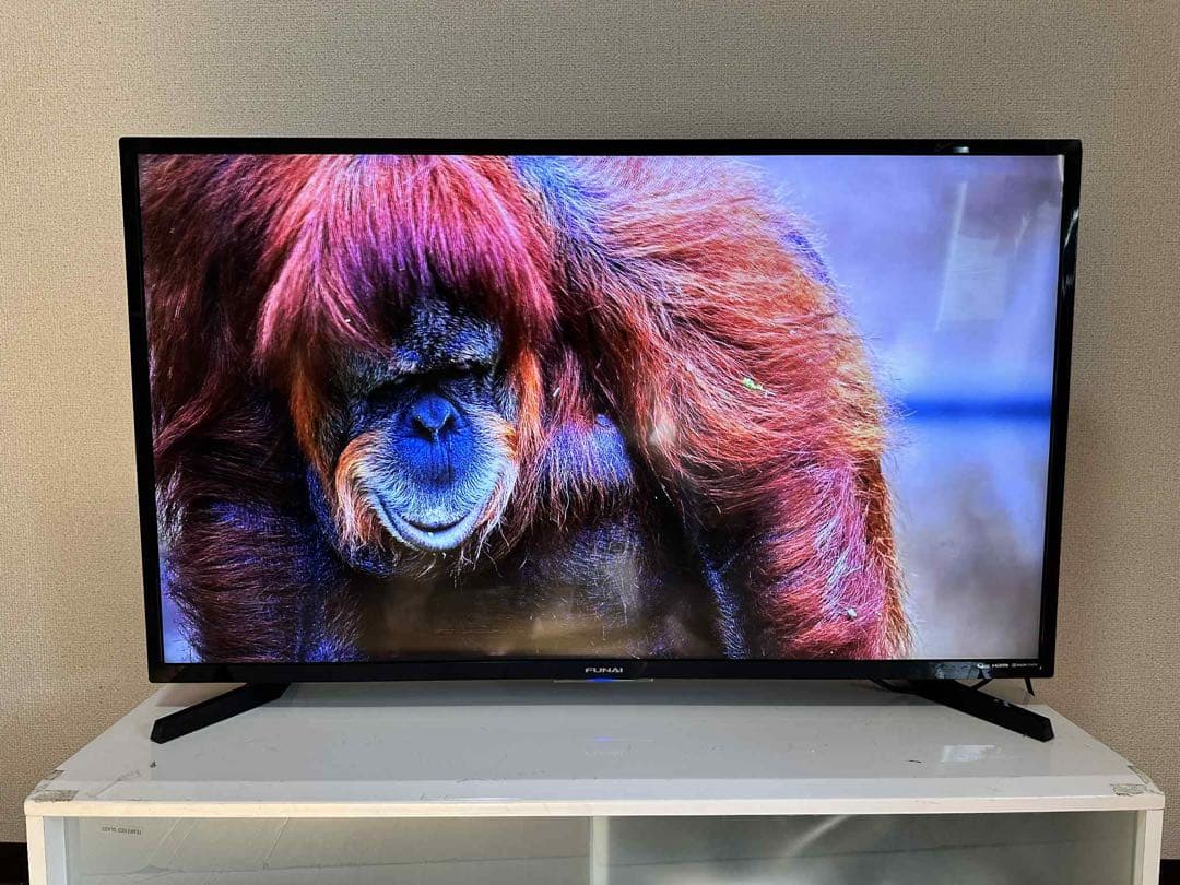 20年製 フナイ FL-43U4020 4Kチューナー43V液晶テレビ