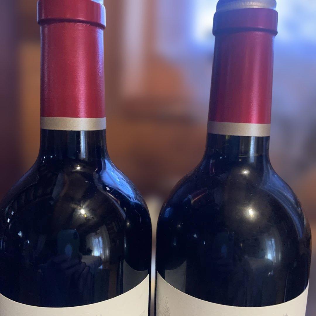 ル マルキ ド カロン セギュール 2019 ２本セット