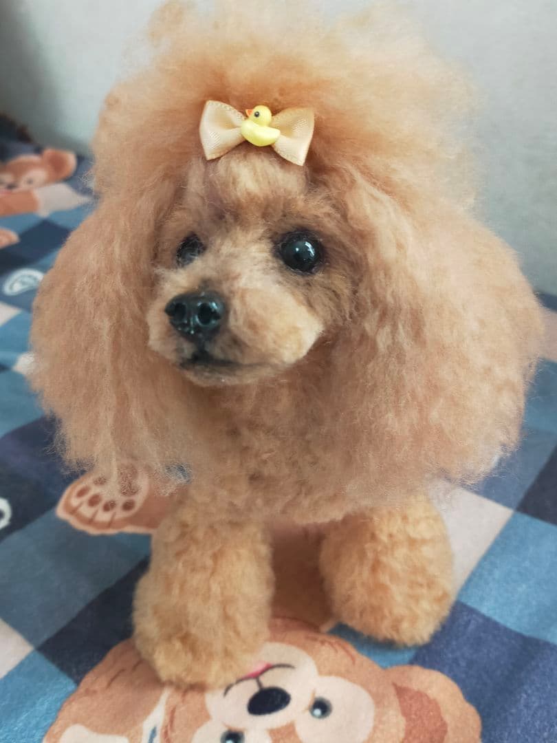 送料込み♡トイプードルレッドちゃん♡