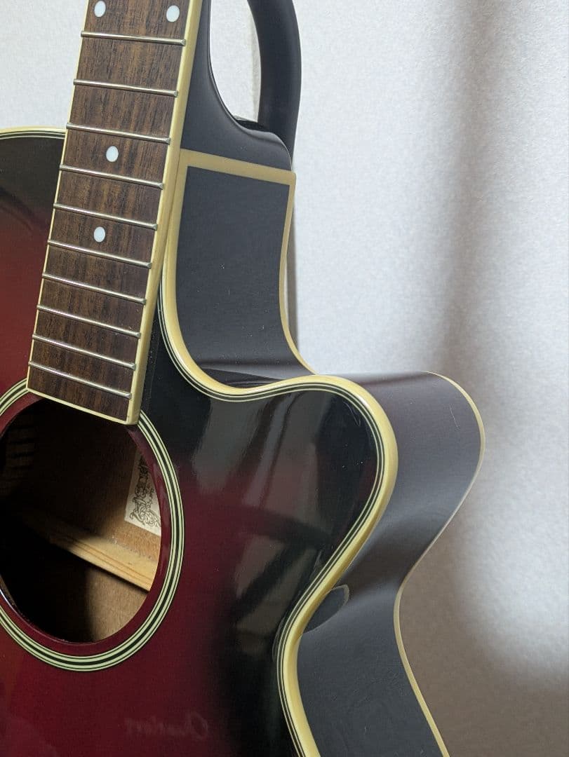 Ibanezエレアコ