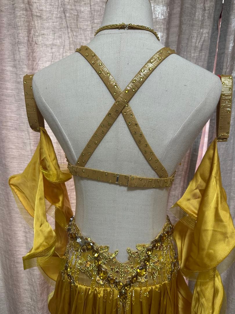 波　オーダー豪華衣装　新品　ベリーダンス　4点セット