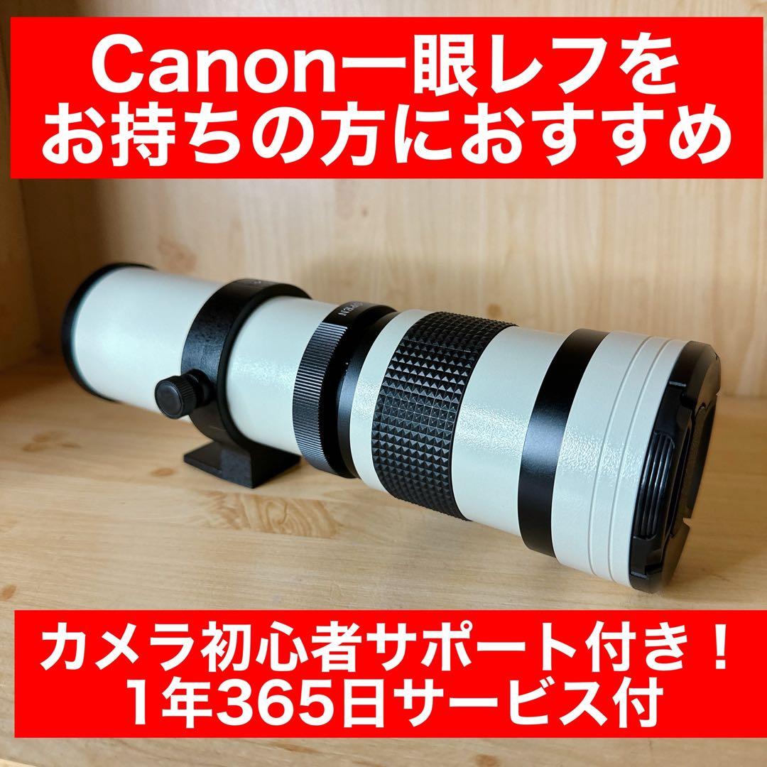 即購入OK！大人気！CANON 一眼レフ用　ズームレンズ！望遠レンズ！袋付き