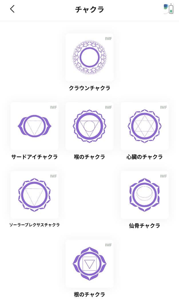 【新品未使用•未開封】定価558,800円　ヒーリープロフェッショナル＋コイル