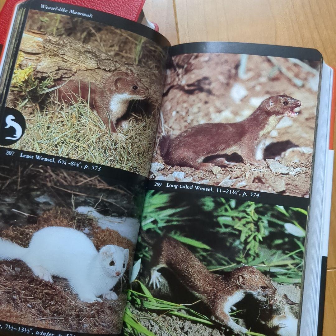 アメリカの野鳥、哺乳類図鑑3冊セット
