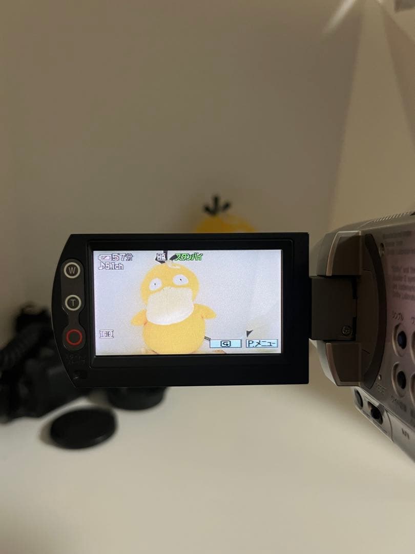 （動作OK）Sony DCR-SR100