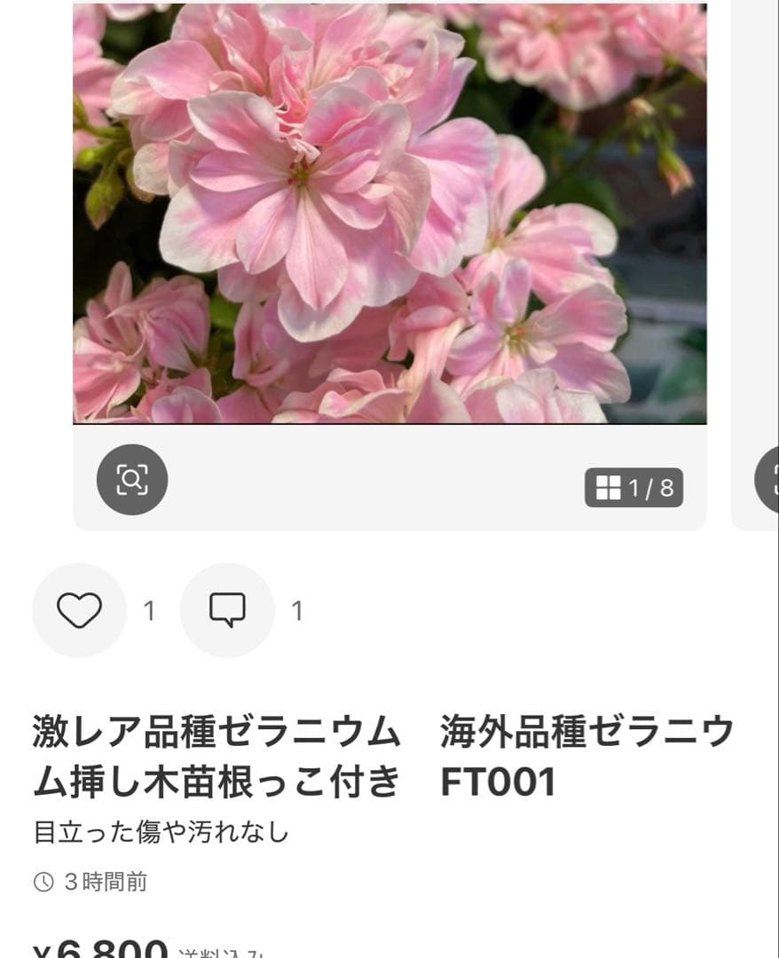 リンク再作成　専用リンク　4種類