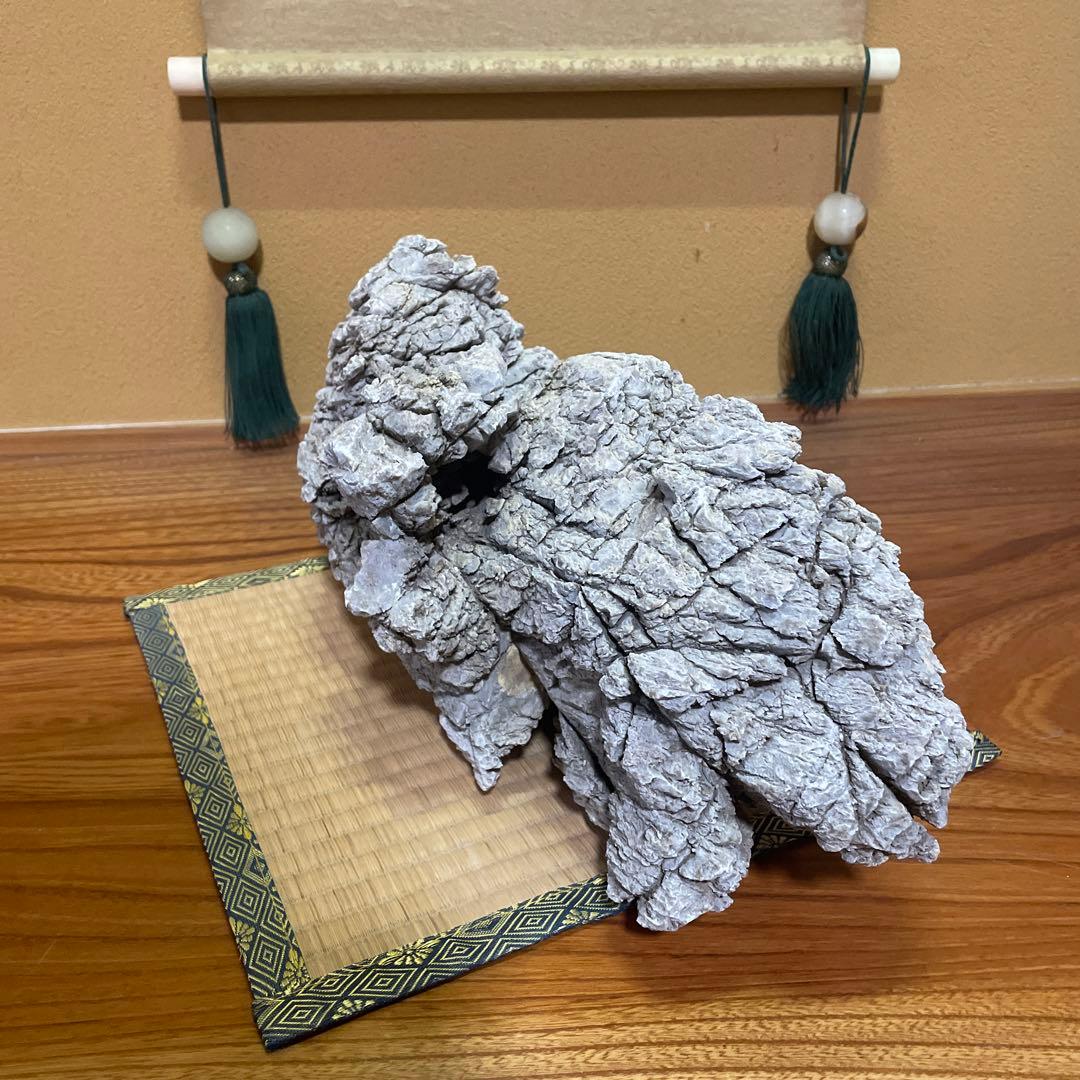 亀文石 水石 鑑賞石 庭石 アクアリウム【特大】