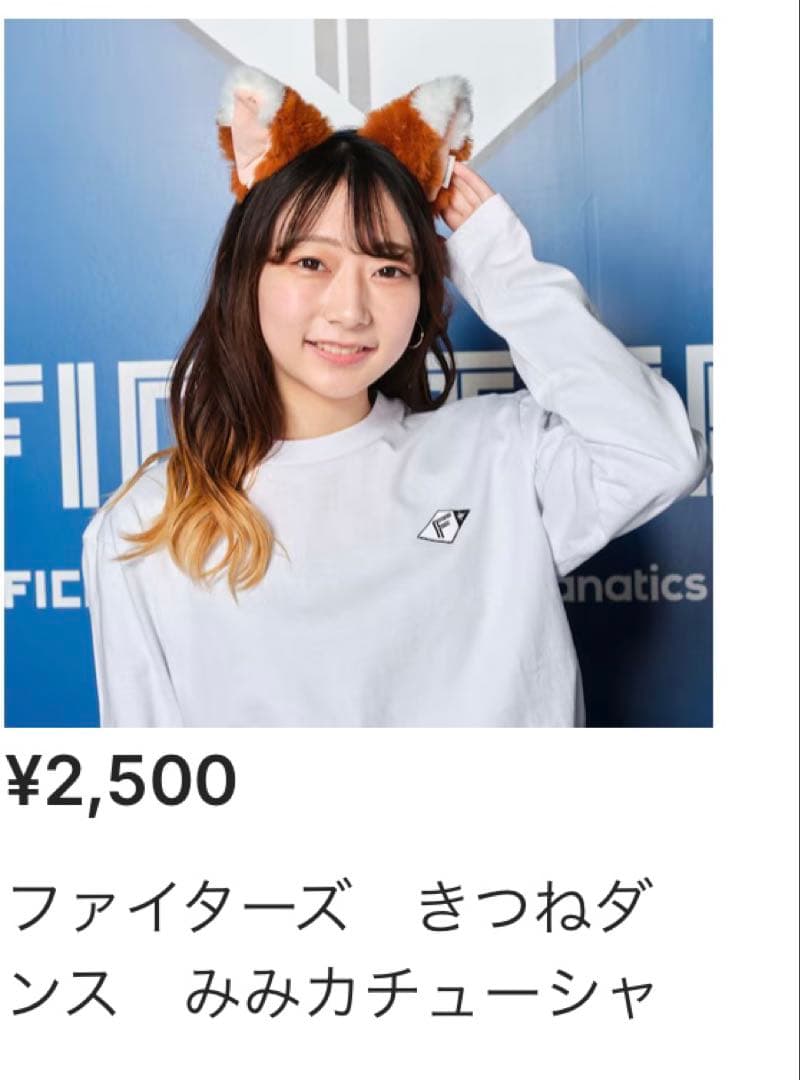 【1回のみ使用】ファイターズ 応援セット！【1月中限り定価15%off】