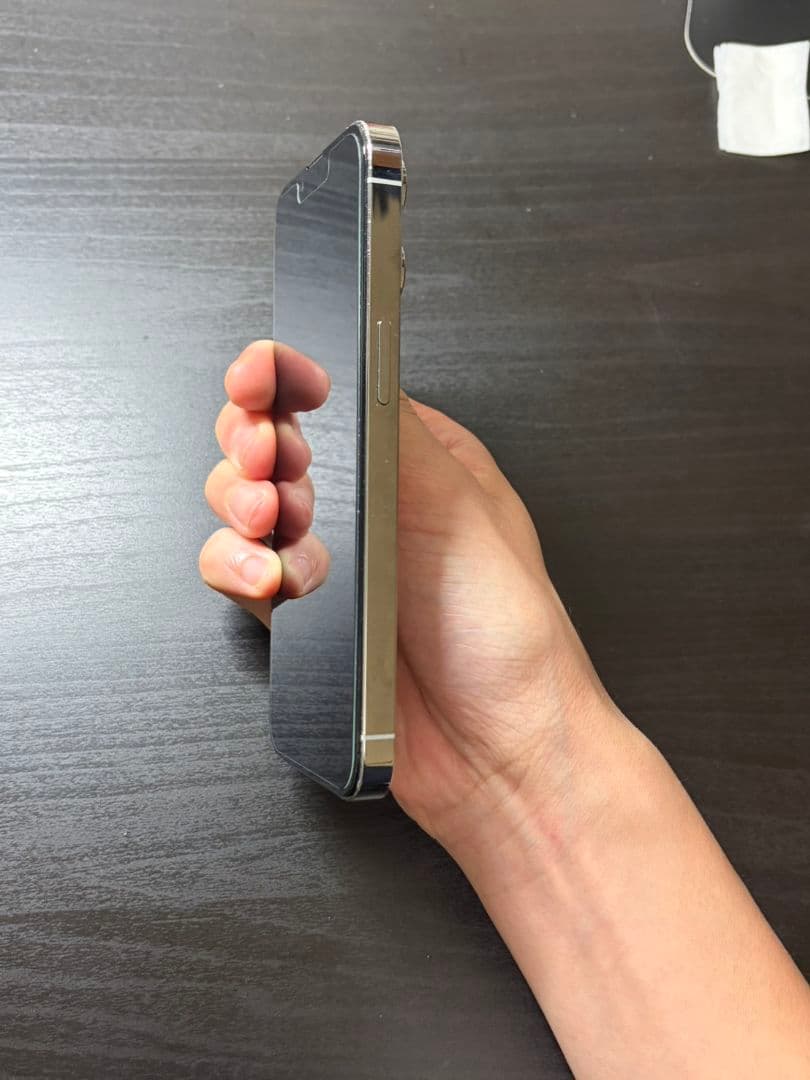 iPhone 13 Pro 256GB シルバーバッテリ100％Face ID可
