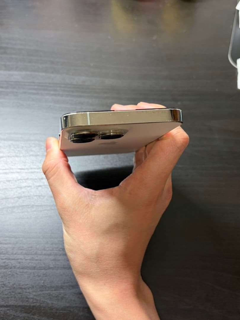 iPhone 13 Pro 256GB シルバーバッテリ100％Face ID可