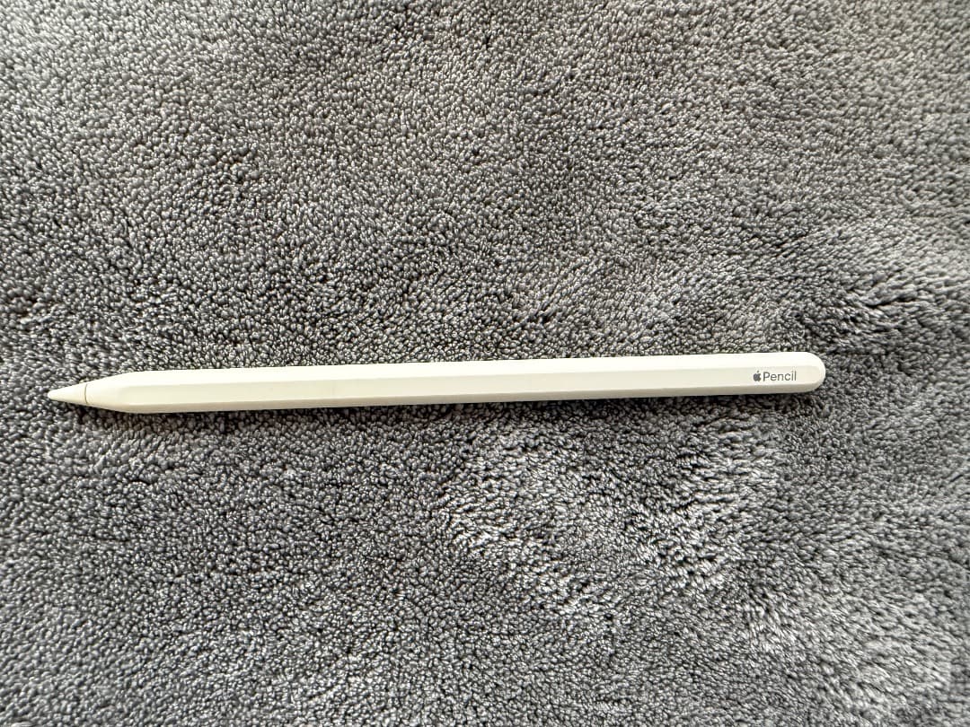 Apple iPad Pro 12..9 第3世代 1 TB