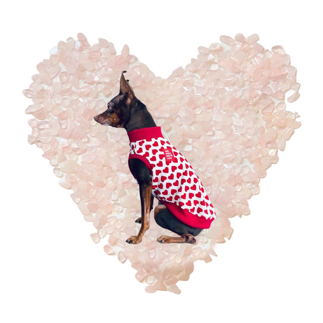 ⑩Full of hearts